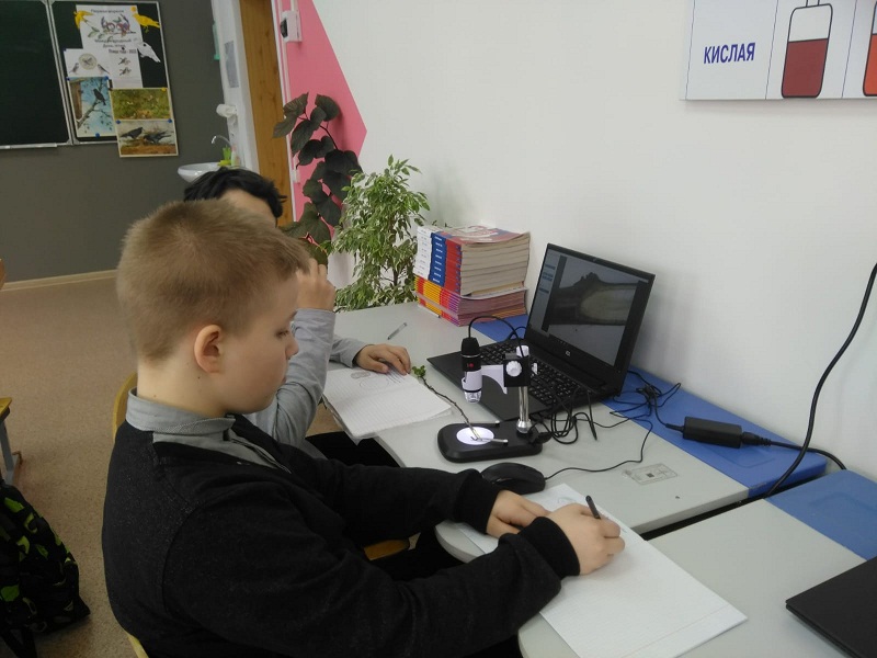 Лабораторная работа в 5 классе  Внутреннее строения стебля,  Внутреннее строения листа с использованием лаборатории Точки Роста