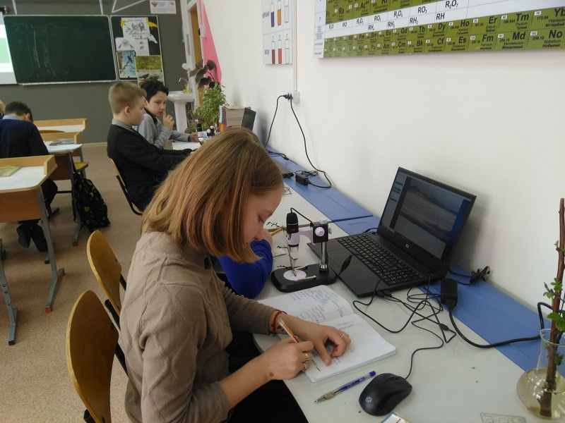 Лабораторная работа в 5 классе  Внутреннее строения стебля,  Внутреннее строения листа с использованием лаборатории Точки Роста